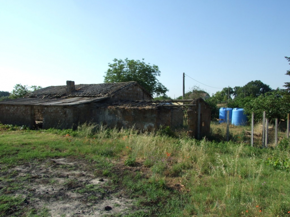 DSCF4845 (FILEminimizer).JPG